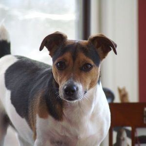 Meet your Posher, Jeanie